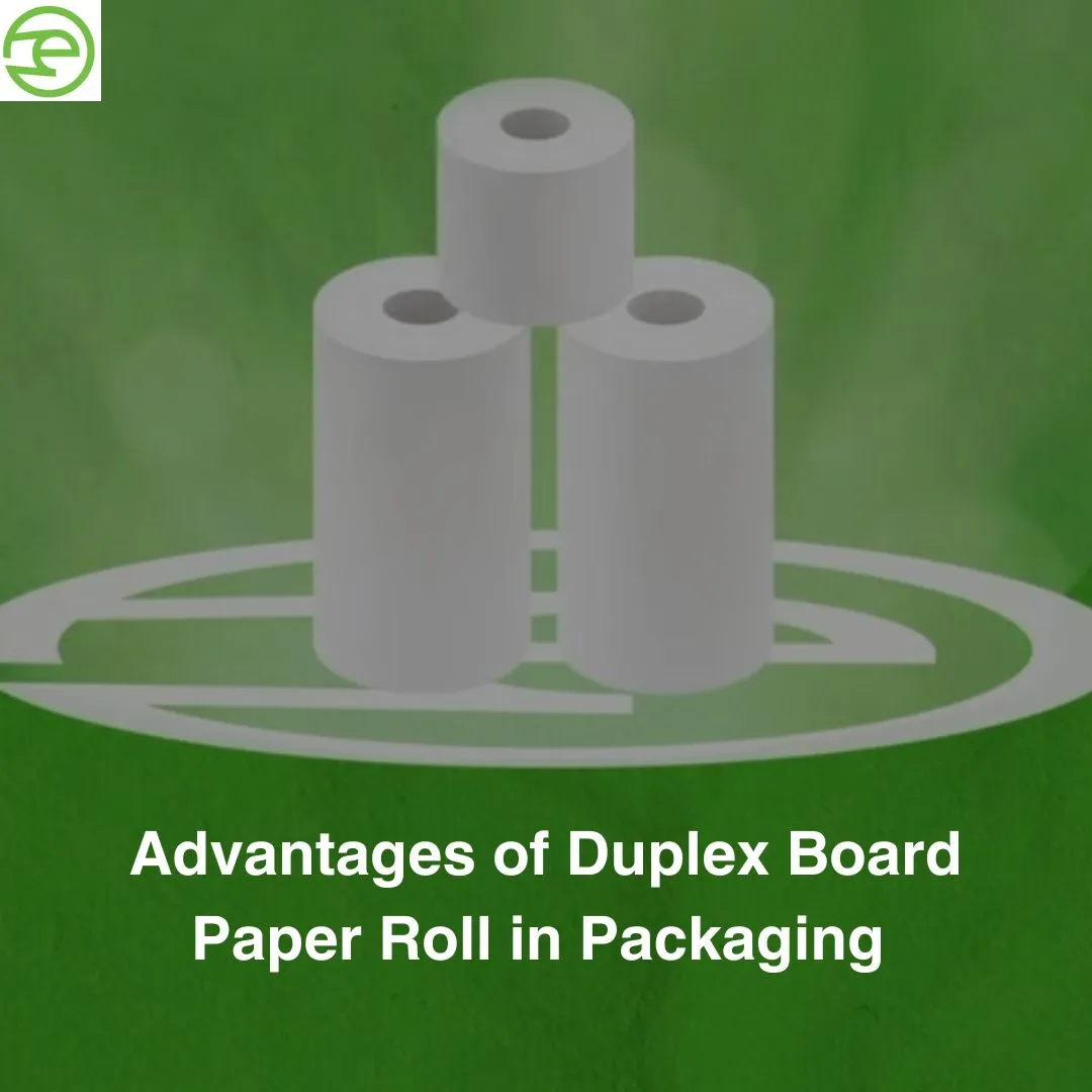 Advantages of Duplex Board Paper Roll in Packaging 